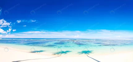 tropical beach samoa 2 crc3afc9899 size9.04mb 6000x2800 - title:graphic home - اورچین فایل - format: - sku: - keywords: p_id:353984