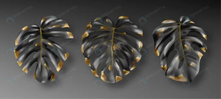 tropical black gold monstera leaves crc2e5d025e size9.62mb - title:graphic home - اورچین فایل - format: - sku: - keywords: p_id:353984