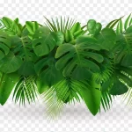 - tropical leaves palm branch realistic composition crcd4c10fb4 size11.39mb - Home