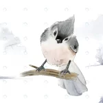 tufted titmouse bird wintertime watercolor vector crcfb430c9d size7.29mb 1 - title:Home - اورچین فایل - format: - sku: - keywords:وکتور,موکاپ,افکت متنی,پروژه افترافکت p_id:63922