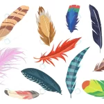 variety colorful feathers flat item set cartoon s crc74740e7c size2.64mb - title:Home - اورچین فایل - format: - sku: - keywords:وکتور,موکاپ,افکت متنی,پروژه افترافکت p_id:63922