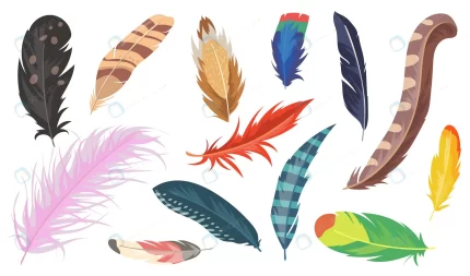 variety colorful feathers flat item set cartoon s crc74740e7c size2.64mb - title:graphic home - اورچین فایل - format: - sku: - keywords: p_id:353984