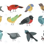 various colorful small birds set crc4891c7f3 size2.28mb - title:Home - اورچین فایل - format: - sku: - keywords:وکتور,موکاپ,افکت متنی,پروژه افترافکت p_id:63922