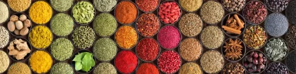 various spices herbs as background colorful condi crcd0028454 size20.89mb 8000x2000 - title:graphic home - اورچین فایل - format: - sku: - keywords: p_id:353984