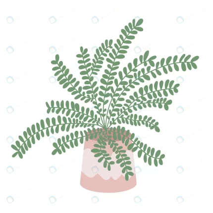 vector home plant sketch palm sketch flat style ho rnd631 frp31527865 - title:graphic home - اورچین فایل - format: - sku: - keywords: p_id:353984