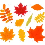 vector illustration autumn forest leaves set isol crcfc14a97c size1.84mb - title:Home - اورچین فایل - format: - sku: - keywords:وکتور,موکاپ,افکت متنی,پروژه افترافکت p_id:63922