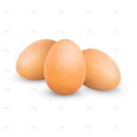 vector realistic chicken brown eggs bunch three h crce03ce33b size5.32mb - title:Home - اورچین فایل - format: - sku: - keywords:وکتور,موکاپ,افکت متنی,پروژه افترافکت p_id:63922