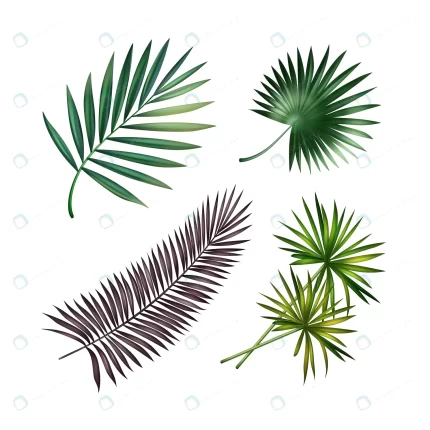 vector set green violet tropical palm leaves isol crca8c83ade size7.86mb - title:graphic home - اورچین فایل - format: - sku: - keywords: p_id:353984