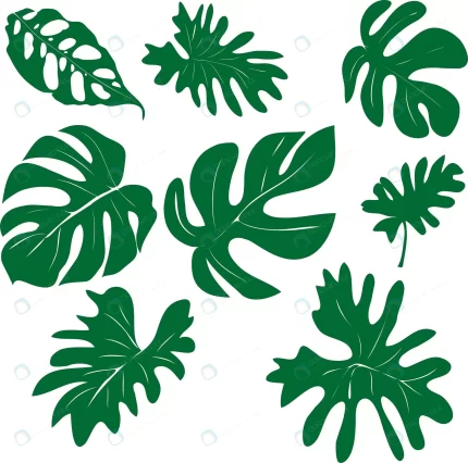vector set hand drawn exotic green leaves rnd608 frp31524995 - title:graphic home - اورچین فایل - format: - sku: - keywords: p_id:353984