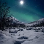 vertical shot night winter landscape with aurora crc46b86643 size11.33mb 4000x5000 1 - title:Home - اورچین فایل - format: - sku: - keywords:وکتور,موکاپ,افکت متنی,پروژه افترافکت p_id:63922