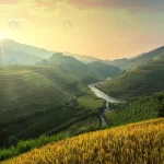 vietnam rice fields prepare harvest northwest vie crc79823285 size16.81mb 7342x4437 - title:Home - اورچین فایل - format: - sku: - keywords:وکتور,موکاپ,افکت متنی,پروژه افترافکت p_id:63922