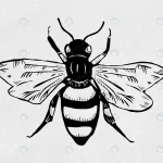 vintage bee insect linocut stencil pattern clipar crc5c9aa894 size12.42mb - title:Home - اورچین فایل - format: - sku: - keywords:وکتور,موکاپ,افکت متنی,پروژه افترافکت p_id:63922