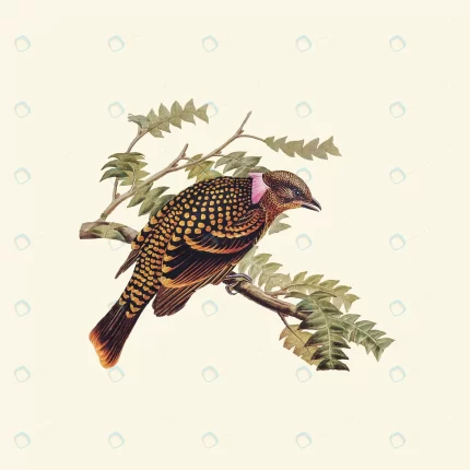 vintage hand drawn vector realistic bird 2 2 crcef072362 size9.93mb 1 - title:graphic home - اورچین فایل - format: - sku: - keywords: p_id:353984