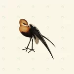 - vintage hand drawn vector realistic bird 2 crc69bcfcdc size1.45mb 1 - Home