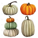watercolor hand drawn fall pumpkin composition rnd572 frp17191703 - title:Home - اورچین فایل - format: - sku: - keywords:وکتور,موکاپ,افکت متنی,پروژه افترافکت p_id:63922