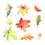 watercolor set colorful autumn leaves rnd359 frp19090366 - title:Home - اورچین فایل - format: - sku: - keywords:وکتور,موکاپ,افکت متنی,پروژه افترافکت p_id:63922