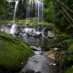 waterfall forest phukradung national park loei pr crc2c4dfee6 size17.12mb 5472x3648 - title:Home - اورچین فایل - format: - sku: - keywords:وکتور,موکاپ,افکت متنی,پروژه افترافکت p_id:63922