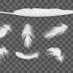 white bird feathers transparent realistic set iso crcdec5c677 size0.78mb 1 - title:Home - اورچین فایل - format: - sku: - keywords:وکتور,موکاپ,افکت متنی,پروژه افترافکت p_id:63922