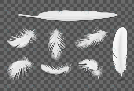 white bird feathers transparent realistic set iso crcdec5c677 size0.78mb 1 - title:graphic home - اورچین فایل - format: - sku: - keywords: p_id:353984