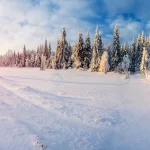 winter landscape trees frost crc89d8591f size11.77mb 6600x2936 - title:Home - اورچین فایل - format: - sku: - keywords:وکتور,موکاپ,افکت متنی,پروژه افترافکت p_id:63922