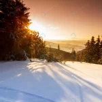 wonderful wintry landscape winter mountain forest crcdd540779 size24.32mb 7960x5307 - title:Home - اورچین فایل - format: - sku: - keywords:وکتور,موکاپ,افکت متنی,پروژه افترافکت p_id:63922