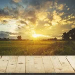 wood table rice field sunset blue sky with lens f crc0b15620f size12.02mb 6000x4000 - title:Home - اورچین فایل - format: - sku: - keywords:وکتور,موکاپ,افکت متنی,پروژه افترافکت p_id:63922