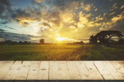 wood table rice field sunset blue sky with lens f crc0b15620f size12.02mb 6000x4000 - title:graphic home - اورچین فایل - format: - sku: - keywords: p_id:353984