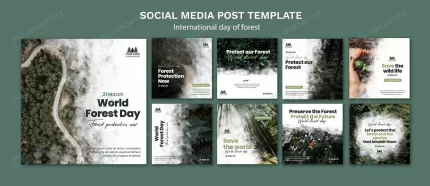 world forest day instagram posts template crc82ad0991 size252.07mb - title:graphic home - اورچین فایل - format: - sku: - keywords: p_id:353984