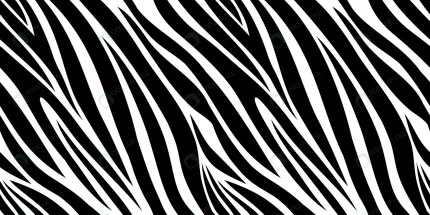 zebra skin pattern animal print black white strip crc77a6c7d5 size1.69mb - title:graphic home - اورچین فایل - format: - sku: - keywords: p_id:353984