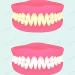 denture two health states dental implant with dif crcb4a2481e size1.26mb - title:Home - اورچین فایل - format: - sku: - keywords:وکتور,موکاپ,افکت متنی,پروژه افترافکت p_id:63922