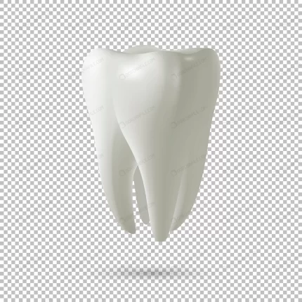 realistic vector tooth icon isolated transparent crcc34a0247 size0.82mb - title:graphic home - اورچین فایل - format: - sku: - keywords: p_id:353984
