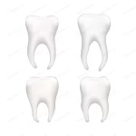 set bright realistic human teeths white crc6e5129da size1.12mb - title:Home - اورچین فایل - format: - sku: - keywords:وکتور,موکاپ,افکت متنی,پروژه افترافکت p_id:63922