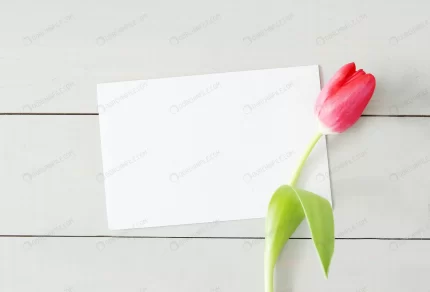 tulip with blank white greeting card crc9a562e20 size5.62mb 4876x3316 - title:graphic home - اورچین فایل - format: - sku: - keywords: p_id:353984