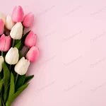 tulips bouquet on pink background with copyspace crc6079c3ff size9.35mb 5472x3648 - title:Home - اورچین فایل - format: - sku: - keywords:وکتور,موکاپ,افکت متنی,پروژه افترافکت p_id:63922