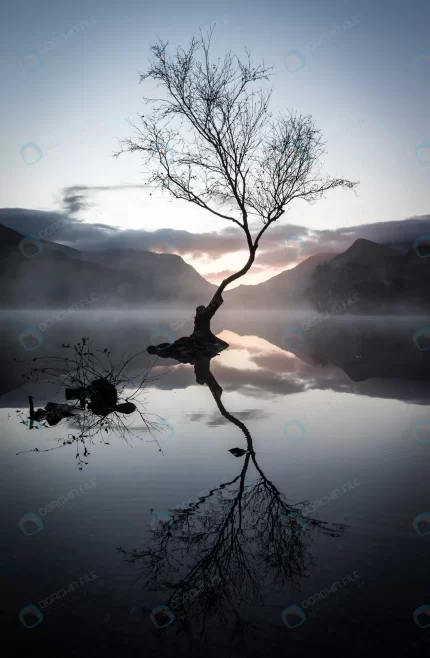 vertical shot leafless tree s reflection lake sur crca29fd828 size4.71mb 2813x4308 - title:graphic home - اورچین فایل - format: - sku: - keywords: p_id:353984
