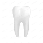 white molar tooth isolated white crc71f055f3 size0.76mb - title:Home - اورچین فایل - format: - sku: - keywords:وکتور,موکاپ,افکت متنی,پروژه افترافکت p_id:63922