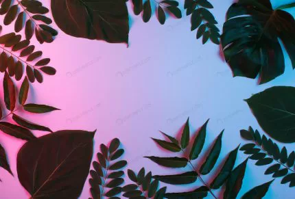 background from tropical green leaf with neon pin crc28d2c0b3 size6.63mb 4716x3192 - title:graphic home - اورچین فایل - format: - sku: - keywords: p_id:353984