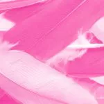 beautiful pink magenta feather texture pattern ba crc730a06e6 size12.20mb 6000x4000 - title:Home - اورچین فایل - format: - sku: - keywords:وکتور,موکاپ,افکت متنی,پروژه افترافکت p_id:63922