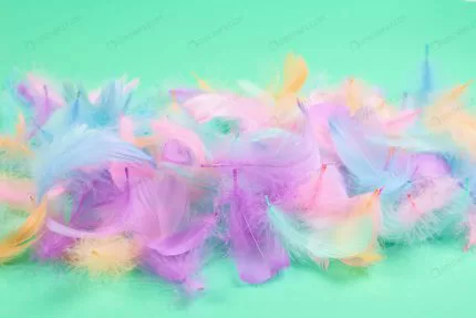 colorful feather background top view crc2bd62c0e size8.93mb 5648x3770 - title:graphic home - اورچین فایل - format: - sku: - keywords: p_id:353984