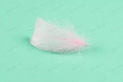 colorful feather mint background crc212547c9 size2.21mb 4355x2907 - title:graphic home - اورچین فایل - format: - sku: - keywords: p_id:353984
