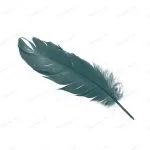 - green feather isolated white background crc5580e378 size2.51mb 4320x3688 - Home