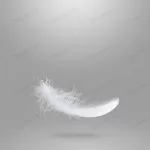 light fluffy white feather falling air crca7de6462 size2.85mb 5472x3648 - title:Home - اورچین فایل - format: - sku: - keywords:وکتور,موکاپ,افکت متنی,پروژه افترافکت p_id:63922