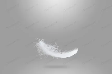 light fluffy white feather falling air crca7de6462 size2.85mb 5472x3648 - title:graphic home - اورچین فایل - format: - sku: - keywords: p_id:353984