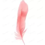 red feather isolated white background crc94937347 size2.73mb 4000x4496 - title:Home - اورچین فایل - format: - sku: - keywords:وکتور,موکاپ,افکت متنی,پروژه افترافکت p_id:63922