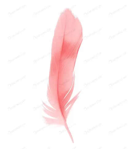 red feather isolated white background crc94937347 size2.73mb 4000x4496 - title:graphic home - اورچین فایل - format: - sku: - keywords: p_id:353984