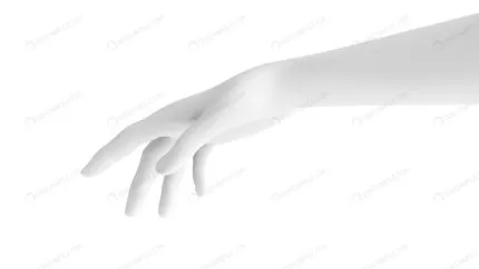 white background 3d hand gesture 3d rendering 3d crc4a244300 size1.34mb 6400x3600 - title:graphic home - اورچین فایل - format: - sku: - keywords: p_id:353984