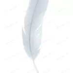 white feather isolated white background crce18a13eb size2.73mb 4000x5459 - title:Home - اورچین فایل - format: - sku: - keywords:وکتور,موکاپ,افکت متنی,پروژه افترافکت p_id:63922