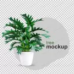 mockup 3d rendered plant pots 2 crc173c8798 size5.53mb - title:Home - اورچین فایل - format: - sku: - keywords:وکتور,موکاپ,افکت متنی,پروژه افترافکت p_id:63922
