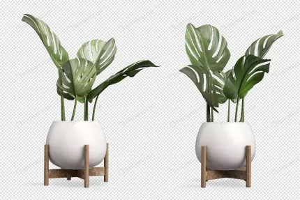 monstera plant pot 3d rendering crc5a080865 size9.84mb - title:graphic home - اورچین فایل - format: - sku: - keywords: p_id:353984
