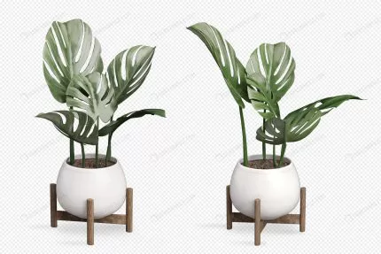monstera plant pot 3d rendering 2 crc50948d00 size9.88mb - title:graphic home - اورچین فایل - format: - sku: - keywords: p_id:353984